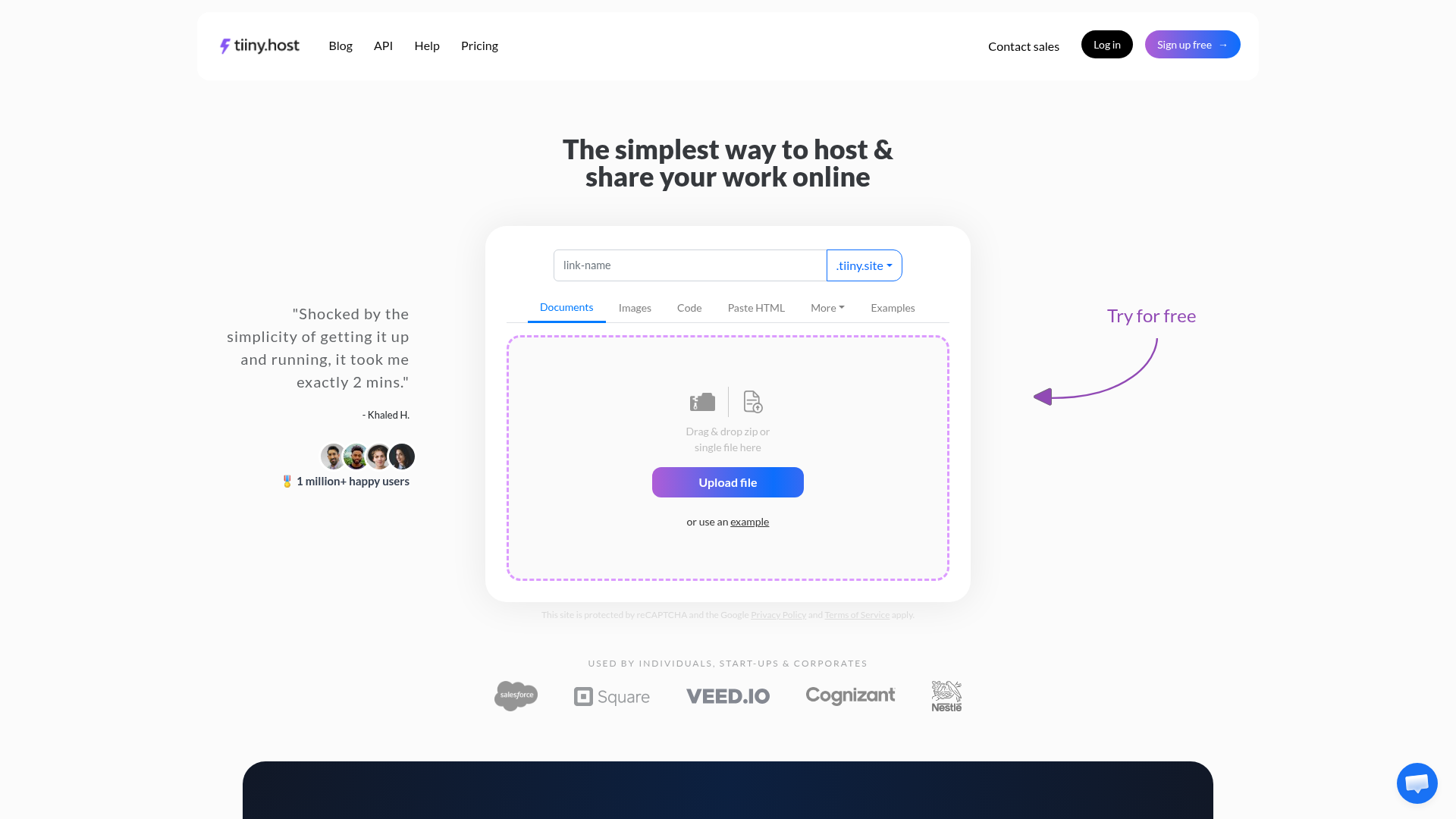 tiiny.host screenshot